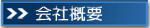 ЊTv